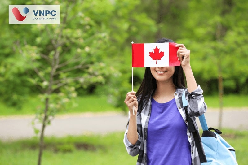 KING88 là nhà cái giải trí đỉnh cao nghề Canada